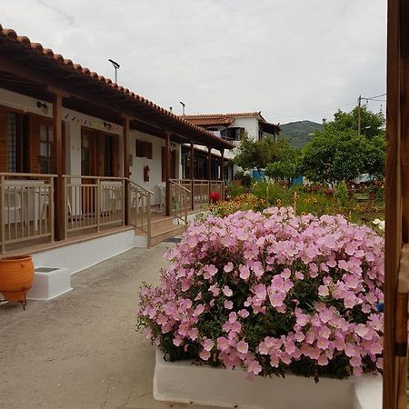 Asimina'S House Aparthotel Skiathos Town Luaran gambar