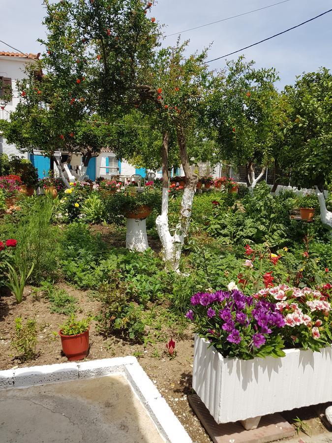 Asimina'S House Aparthotel Skiathos Town Luaran gambar