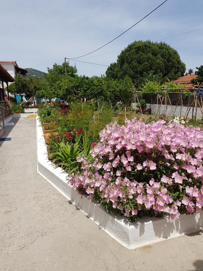 Asimina'S House Aparthotel Skiathos Town Luaran gambar