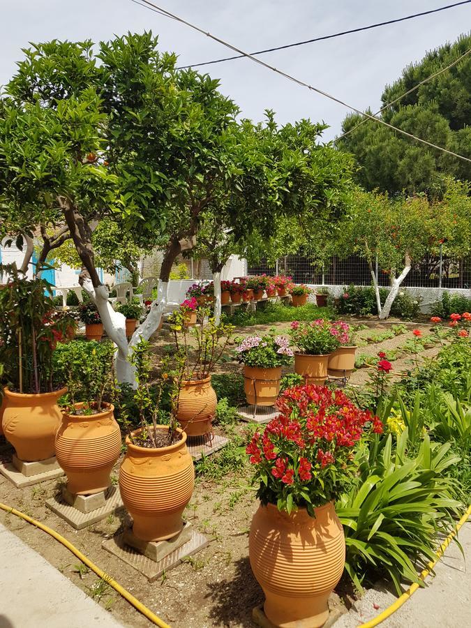 Asimina'S House Aparthotel Skiathos Town Luaran gambar